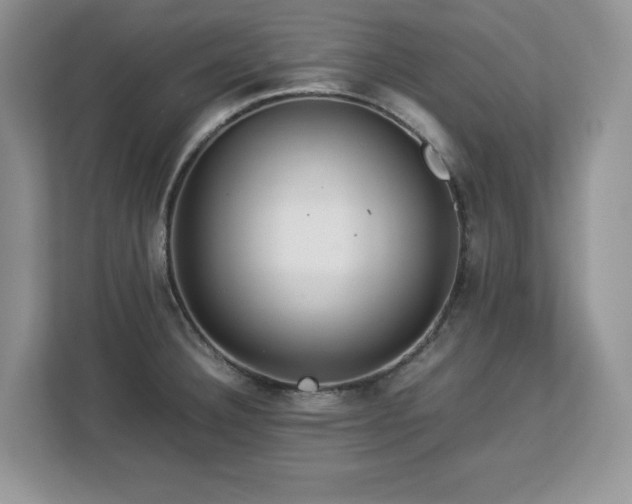 X0000113071332200908281146