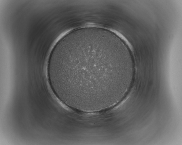 X0000113071333200908281146