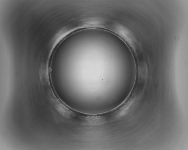 X0000113071336200908281146