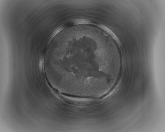 X0000113071337200908281146