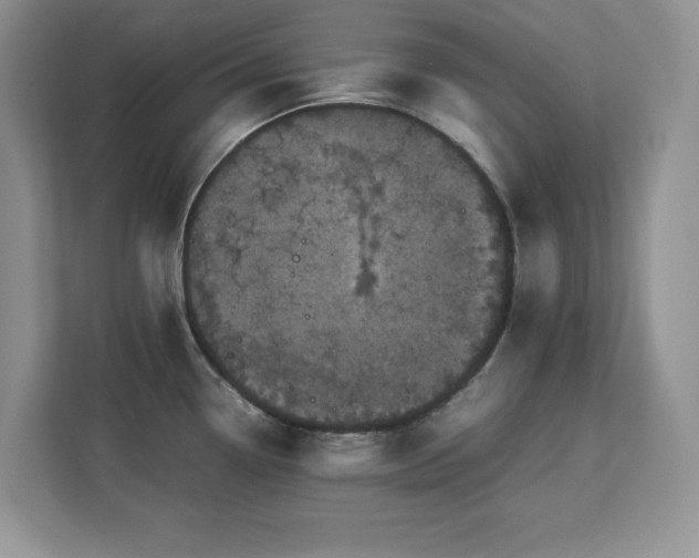 X0000113071338200908281146