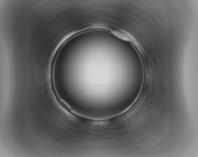 X0000113071339200908281146