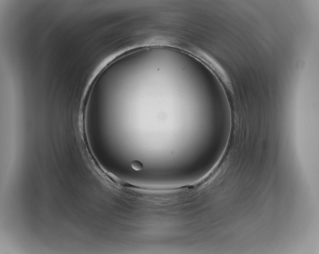 X0000113071340200908281147