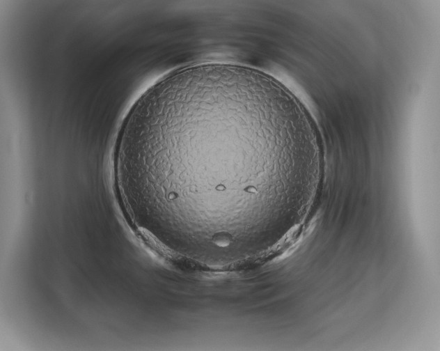 X0000113071341200908281147