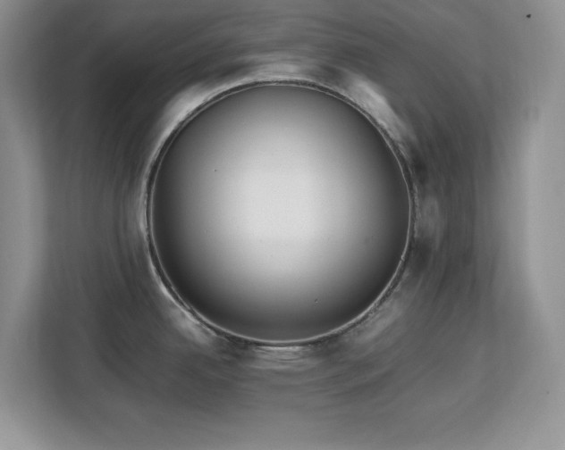 X0000113071342200908281147