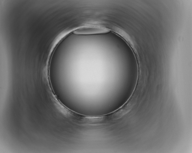 X0000113071344200908281147