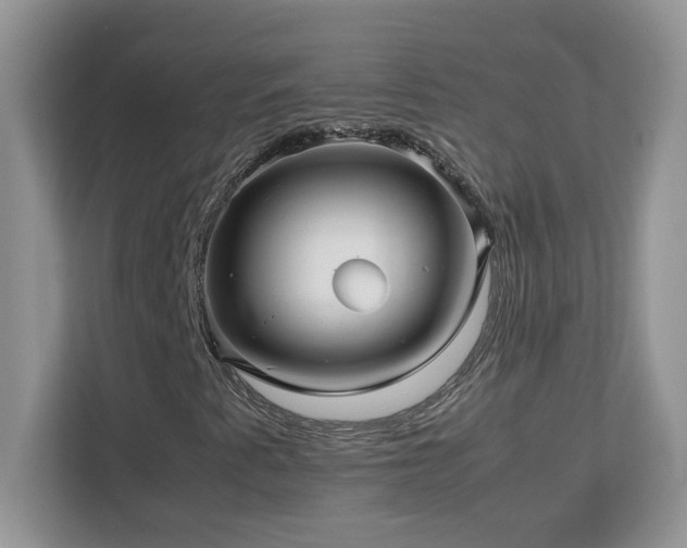 X0000113071345200908281146