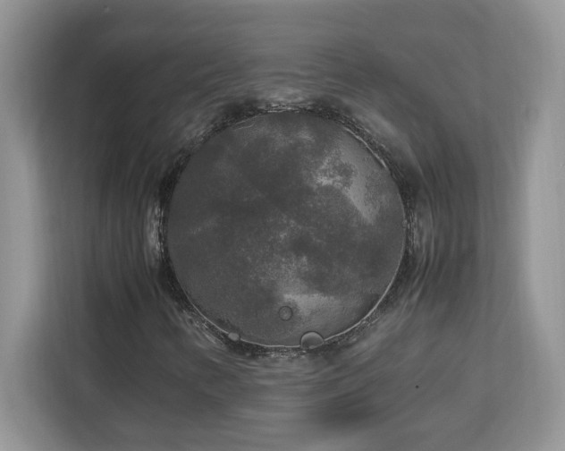 X0000113071346200908281146