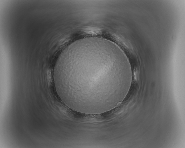 X0000113071347200908281146