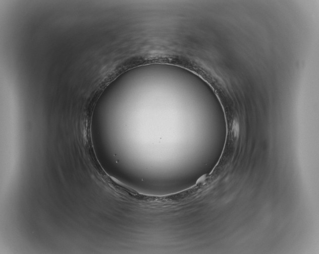 X0000113071348200908281146