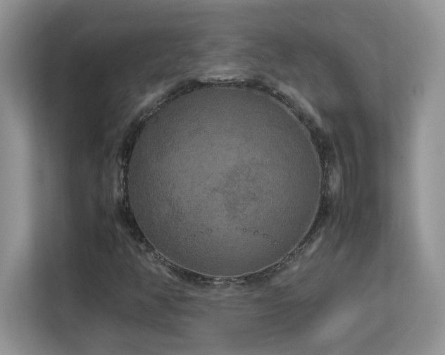 X0000113071350200908281146