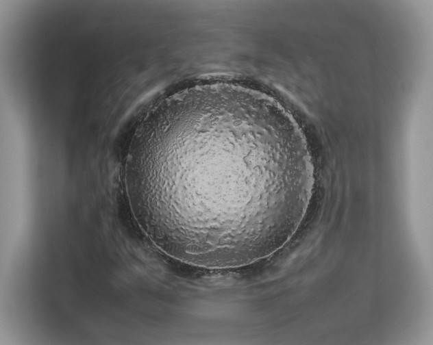 X0000113071351200908281146