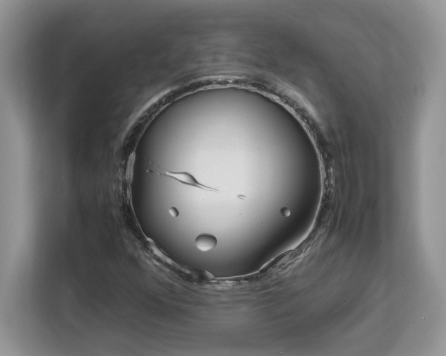 X0000113071352200908281146