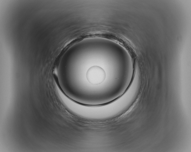 X0000113071353200908281146