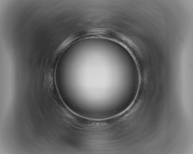 X0000113071354200908281146