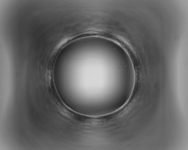 X0000113071355200908281146