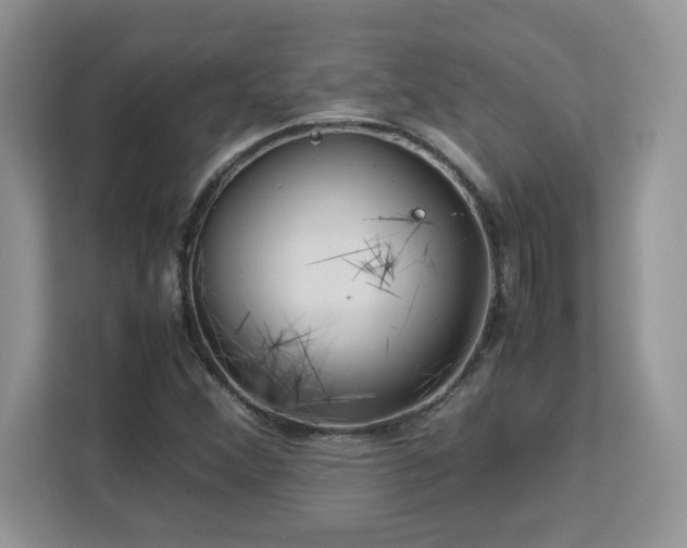 X0000113071356200908281146