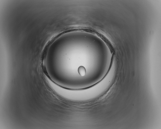 X0000113071357200908281146
