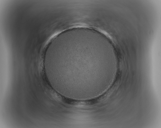X0000113071359200908281146