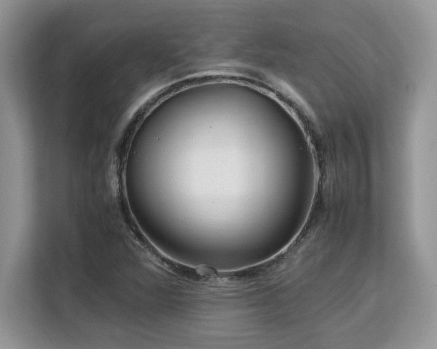 X0000113071360200908281146
