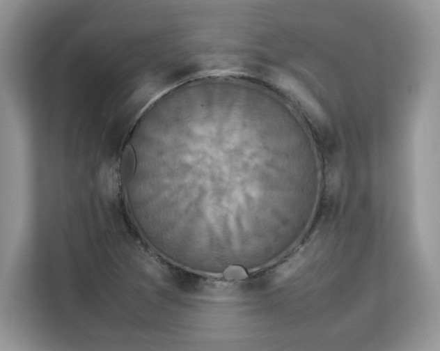 X0000113071361200908281146