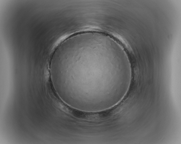 X0000113071363200908281146