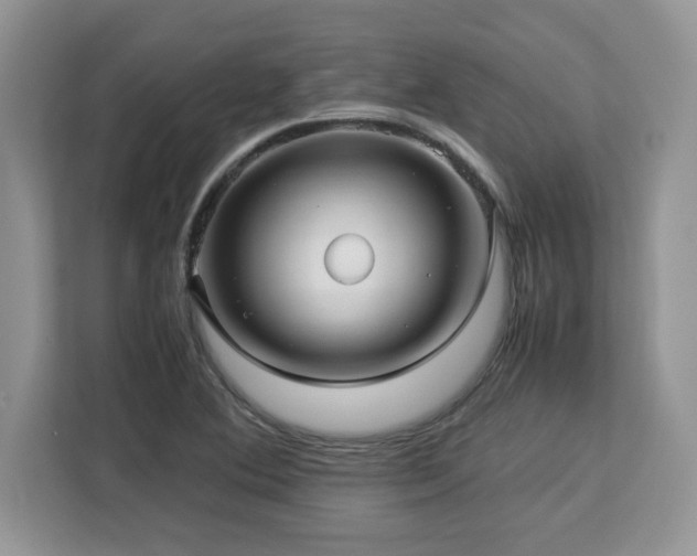 X0000113071364200908281146