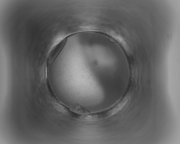X0000113071365200908281146