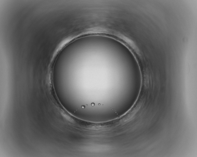 X0000113071366200908281146