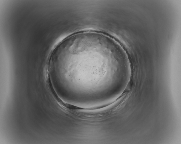 X0000113071367200908281146