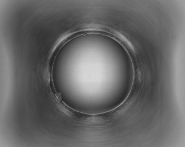 X0000113071368200908281146