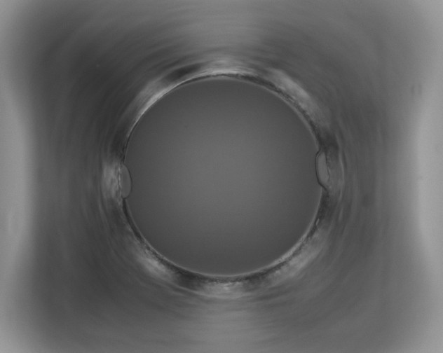 X0000113071369200908281146