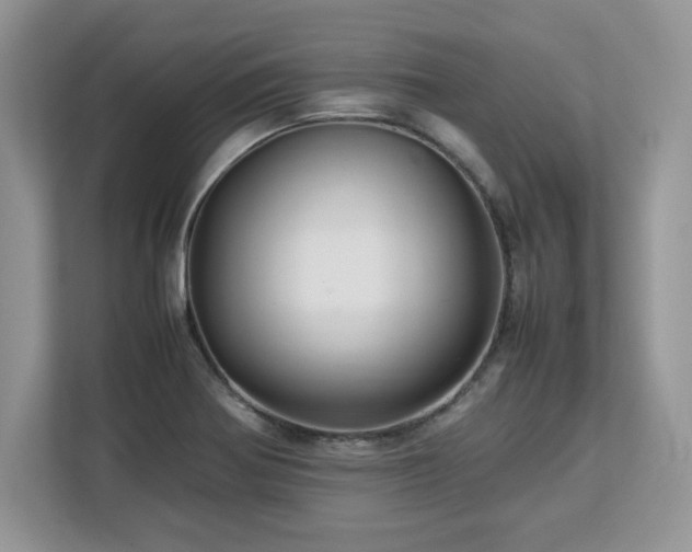 X0000113071370200908281146