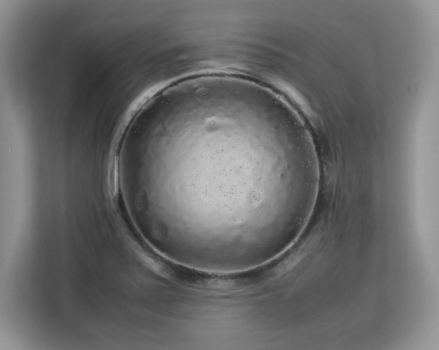 X0000113071371200908281146