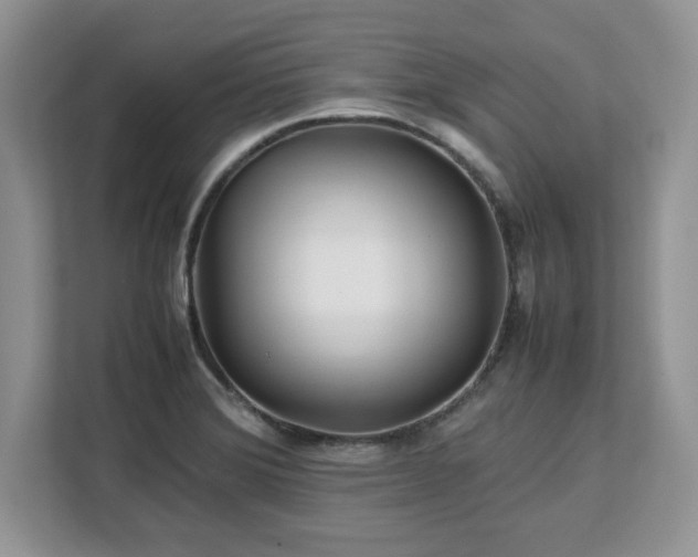 X0000113071372200908281146