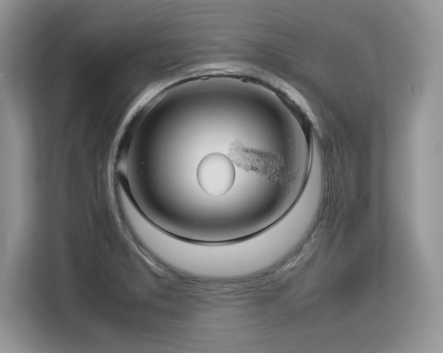 X0000113071373200908281146