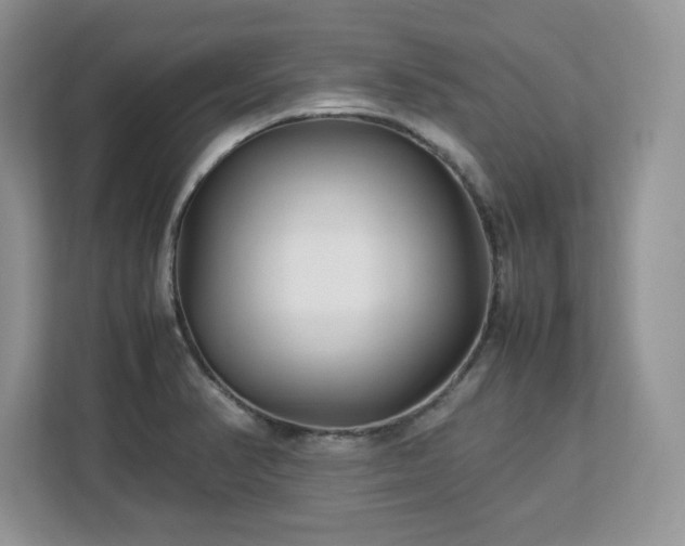 X0000113071374200908281146