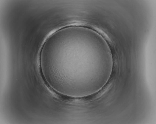 X0000113071375200908281146