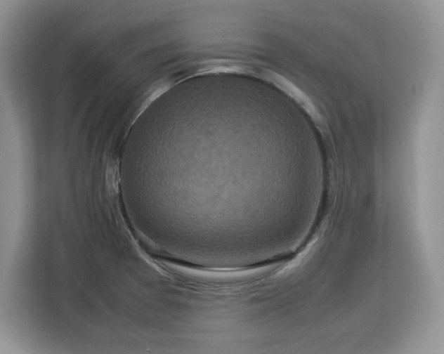 X0000113071377200908281146