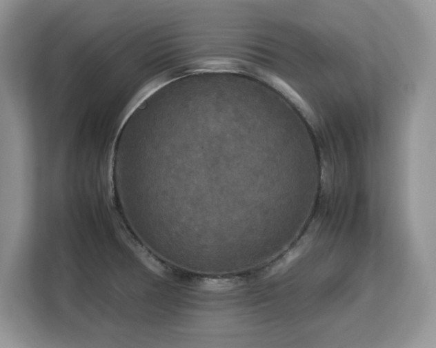 X0000113071378200908281146