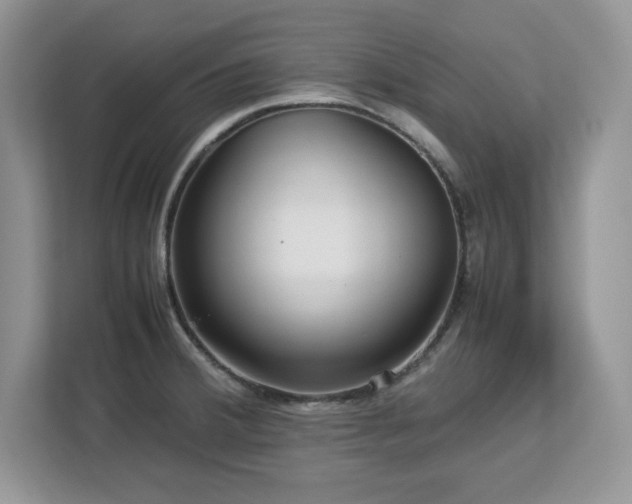 X0000113071380200908281145