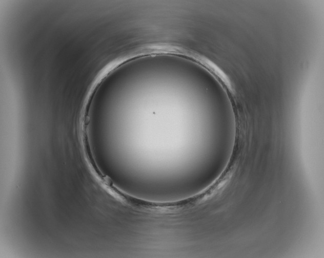 X0000113071381200908281145