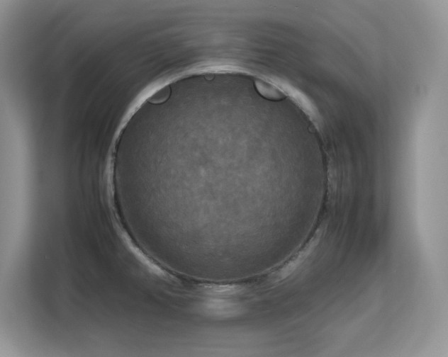 X0000113071382200908281145
