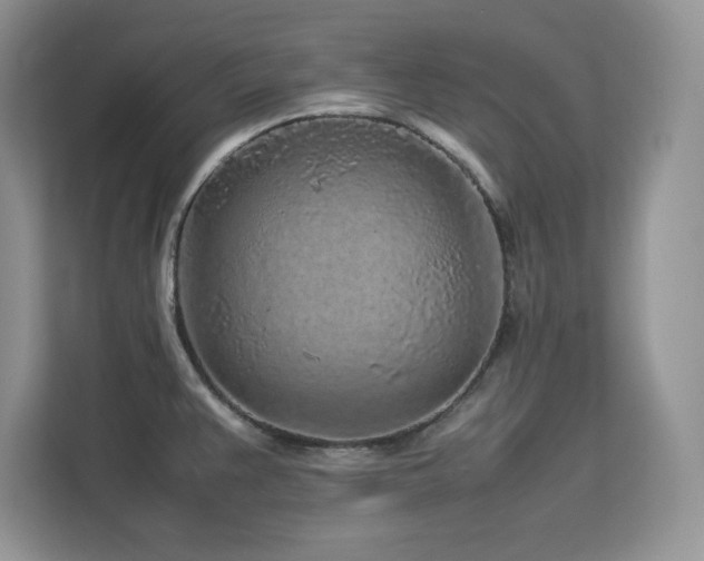 X0000113071383200908281145