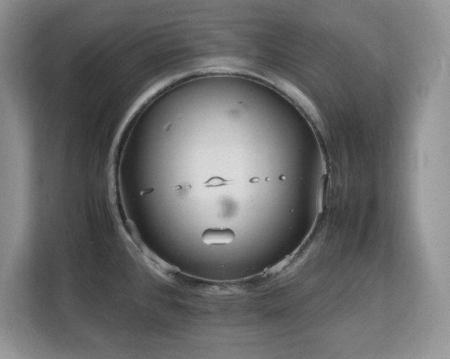 X0000113071384200908281145