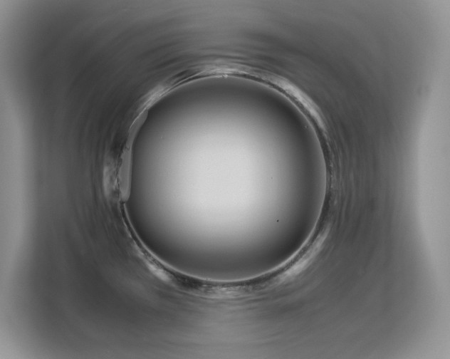 X0000113071385200908281145