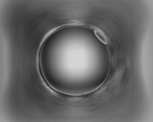 X0000113071387200908281145