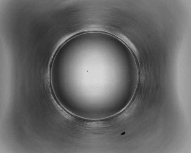X0000113071388200908281145