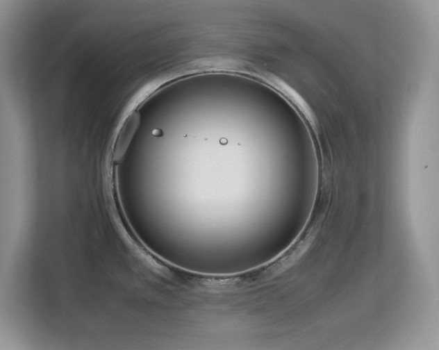 X0000113071389200908281145