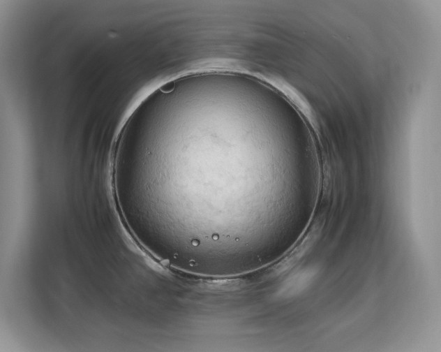 X0000113071390200908281145
